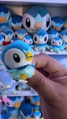 Pipsqueak Piplup makes an appearance again🥹 but here are all the sizes from tiniest to biggest ✨ definitely missed out on the medium 😩  #pokemonplush #piplup #pokemon #piplupplush #pokemoncommunity #pokemonreels #pokemoncommunity #pokemonreels #plushiesofinstagram #pokemoncollectors #pokemoncollection 
