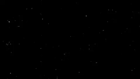 مبتندمش علي اللي انت عملتو معا ايا🖤 #foryoupage#viral#foryou#viralu#oryoupage#fyp# #تصميمي 