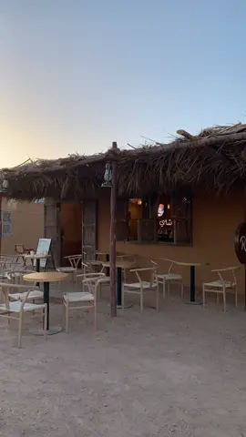 ‏الشاهي مرة لذيذ #اكسبلور 