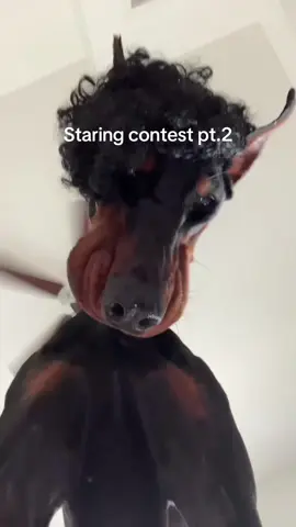 and this time he’s got a wig