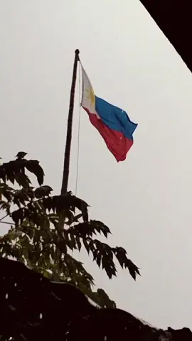 Philippine flag flying proudly while heavy rain and wind #fyp #fypシ #fypシ゚viral #fypagee #fyppppppppppppppppppppppp #rain #wind #flag #philippines 