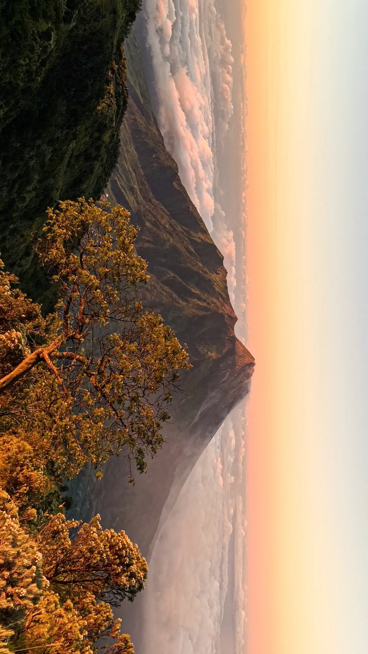 Merbabu via selo🤩#merbabu #merbabuviasuwanting #merbabuviaselo #merbabuviagancik 