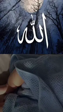 #ویدیو  #قران_كريم  #حضرت_محمد_مصطفی_صل_الله_علیه_وسلم #shaflullahrajabzadah 