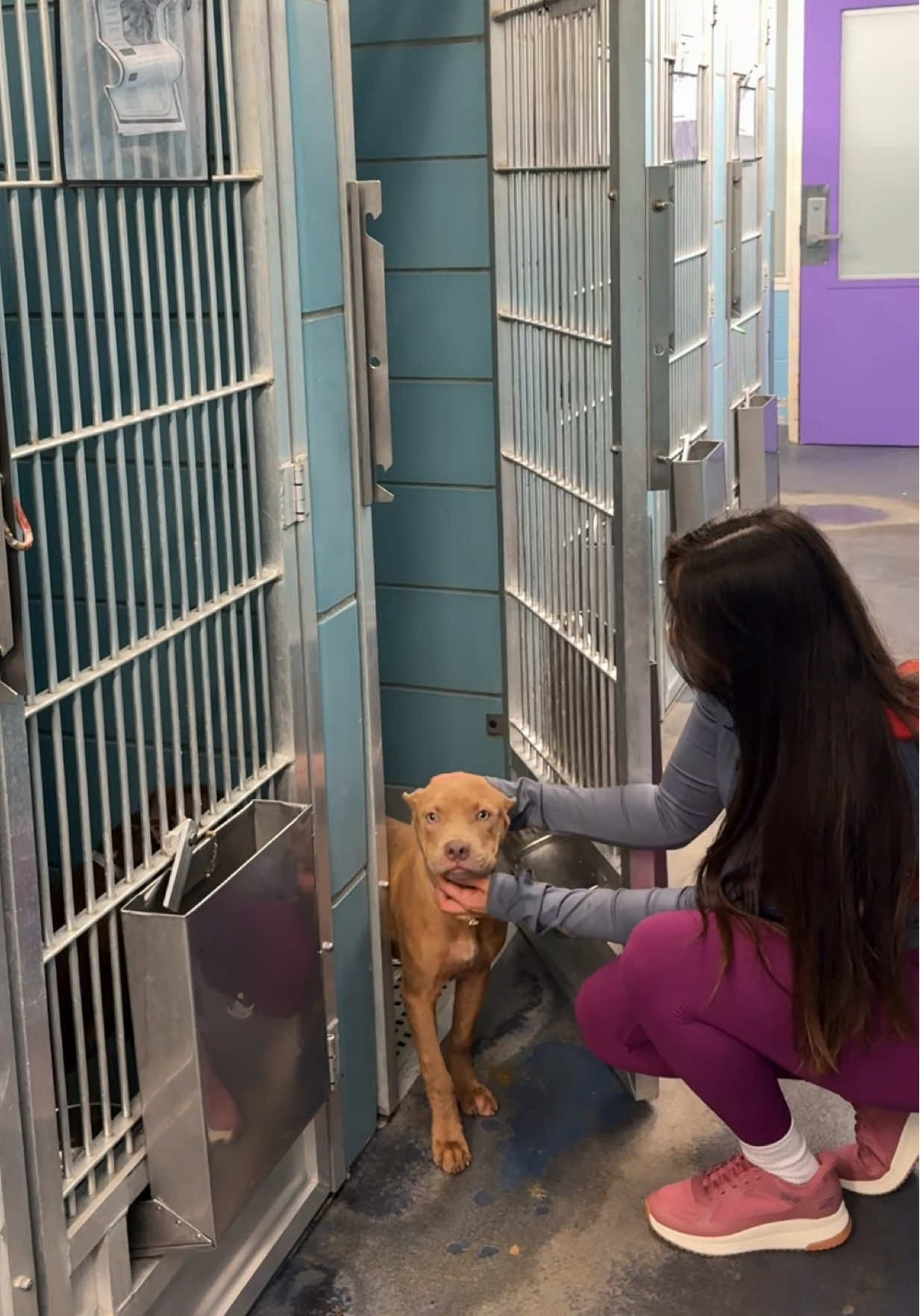 Volunteering at my local animal shelter is one of the most meaningful parts of my life! It’s not always easy, some of these dogs come in scared, confused, or shut down. But with time, patience, and love, they start to come back to life. You see their tails wag again. You see them trust again. And those moments make every early morning, every mess, and every heartbreak worth it.Check out BOBS from Skechers to discover all they do to support animals @bobs_skechers/@SKECHERS! #BOBSfromSkechers #SkechersPartner #BOBSPets #ad #rescuedog #animalrescue #shelterdoglove #adopt