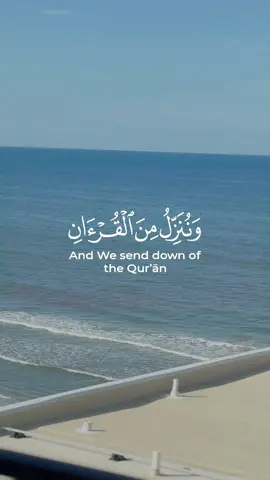 #quran #قران #قران_كريم #fyp #foryou 
