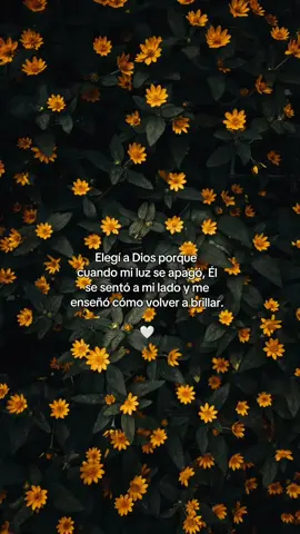 Gracias Dios. 🥺🙌🏼✨ #JovenesCristianos #Dios #Diosesbueno #Cristo #viral #hagamosviralajesus #frasesdeamor #fyp #alabanza #tiktok #foryou #palabradeDios #Jesus #mensajescristianos #paratiiiiiiiiiiiiiiiiiiiiiiiiiiiiiii #versiculo