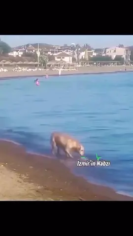 yasamak bu kadar zor olmamalı 😪