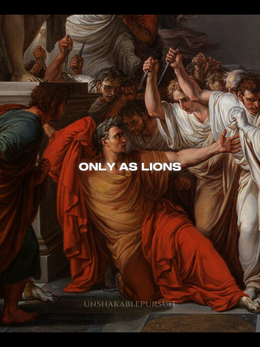 The lion cannot protect himself from traps... This video is not a direct quote from Machiavelli, but a modern interpretation inspired by his ideas. It aims to capture the essence of his philosophy in a modern and accessible way. #machiavelli #niccolomachiavelli #philosophy #stoicphilosophy #unshakablepursuit #wisdom #strategy #power #edit 