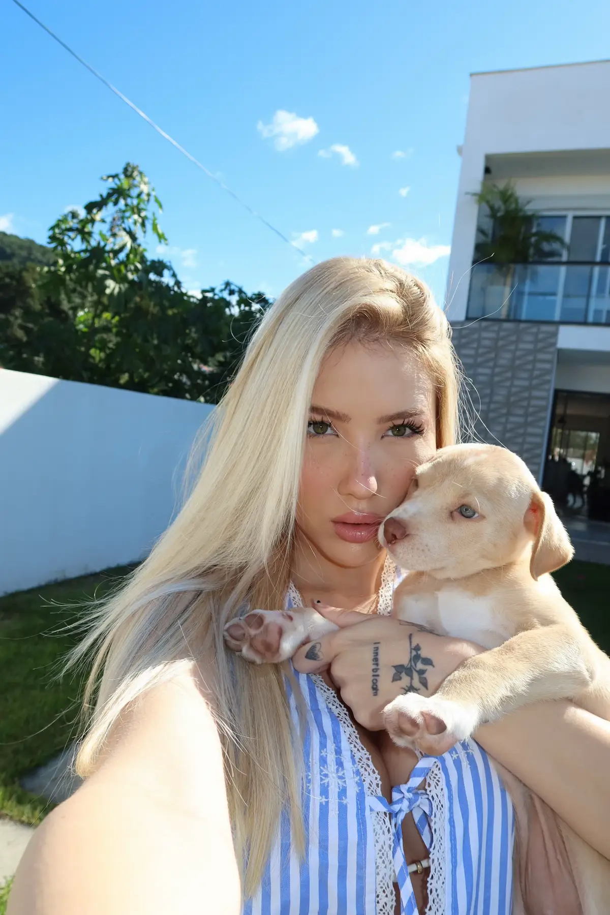 #pets #dogtok #viral #PetsOfTikTok 