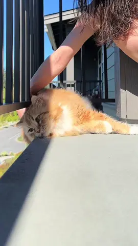 Protecting the protector