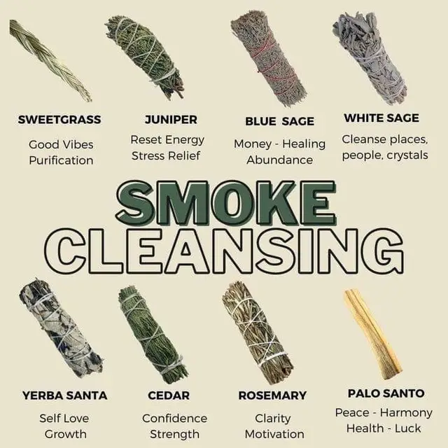 did you know sage and different forms also connects you to more than just the urban area they also connection to the ancestral lineage and which each species of one kind of sage develops from historically.  #sage #magic  #ancestors #spirituality #Hoodoo #voodoo #witchcraft 