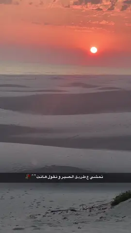 يسعد مساكم غواليي🌷🌷#يسعد_مساكم 