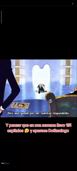#doflamingodonquixote  🧐🧐🧐