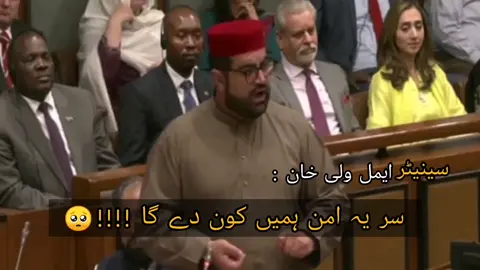 سر یہ امن ہمیں کون دے گا !!!!🥺