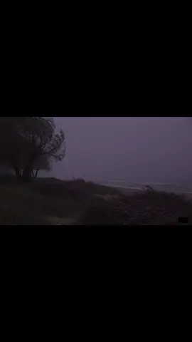 #💜 #relatable #real #foryoupage #embrace #silhouette #nightcore #nightvibes #dreamrave #landscape #prism #lilacs #pastelghost♡ #pmghxst #parati #fyp #xybca #pastelghost #darkbeach #iris 