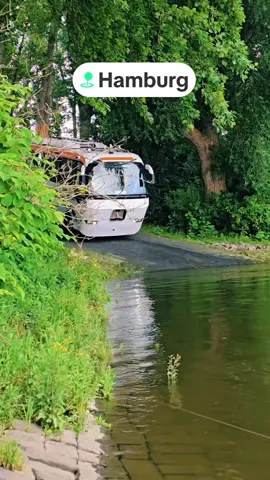 Hamburg riverbus #hamburg #fürdich #deutschland #Abenteuer #travel 