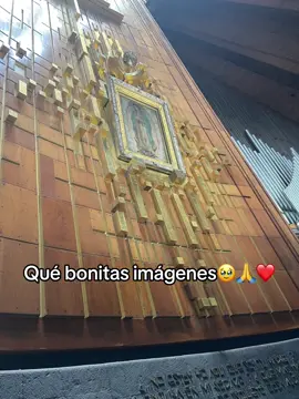 Es un sueño ir hay