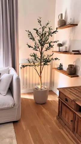 TIP para elevar el nivel de cualquier rincón 🪴  Con papel, cartón, unas piedras decorativas y un foco inalámbrico puedes darle protagonismo a un rincón sin vida. . . #deco #inspodecor #decoracionhogar #olivo #trucos #tipsdeco