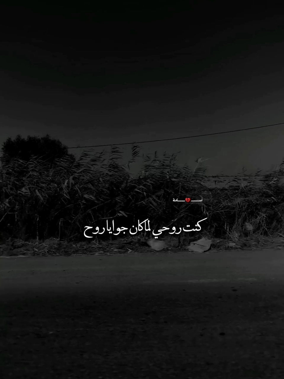 مع السلامة ياحبيبي وفامان #يعني_خلاص_مش_حشوفك_تاني #كنت_روحي_لما_كان_جوايا_روح☹🥀 #شيرين_عبدالوهاب @أســـــــــ💔ــــــــامة 