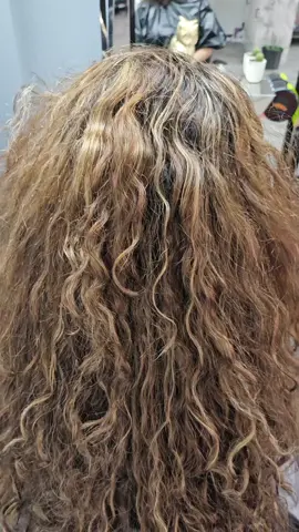 yessica's beauty salon 3823 synott rd houston tx 77082 tel 2815296263
