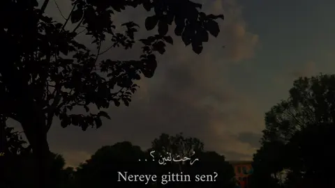 كلي يوم يفوت .. Günler gelip geçiyor,#فاضل_شاكر #arapçaşarkı #şarkılar #اغاني #موسيقى #fyp #foruyou 