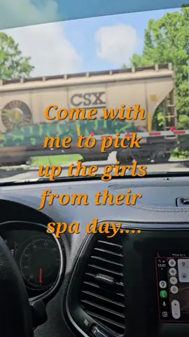 We love spa days with Karen!!!#dogtok #miniaussiesoftiktok #AustralianShepherd #dallymaeemberrae #sandyhillboarddingandgrooming 