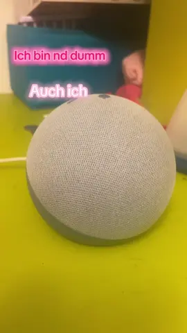 Crazy  #alexa#auchich #fyp 