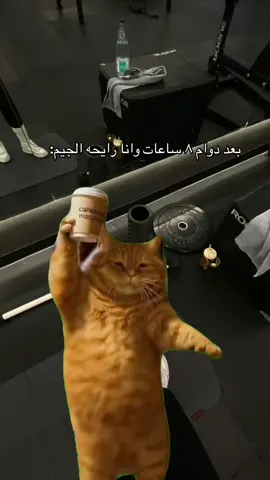 #Meme #MemeCut #explore #viral #preworkworkout #Fitness #gym #Lifestyle 