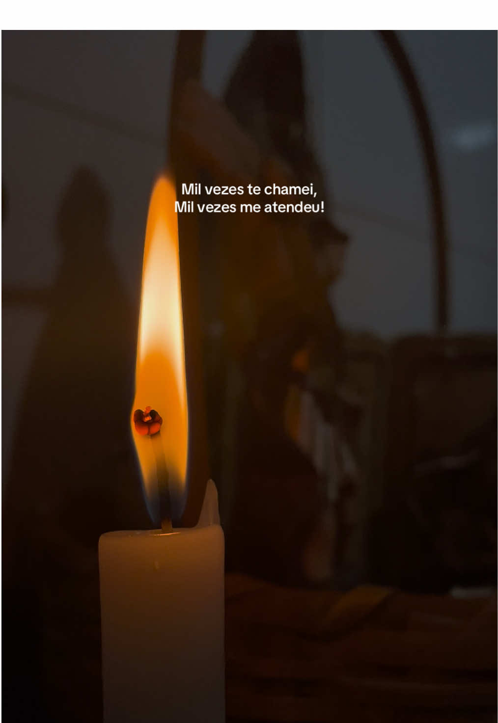 Ave Maria 🌹 . . . #catoftiktok #avemaria #catolico 