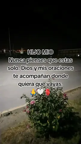 #nuncatedejare#hijomio#♥️♥️♥️♥️♥️ #LIVEIncentiveProgram #GoLIVEGrowFast #PaidPartnership 