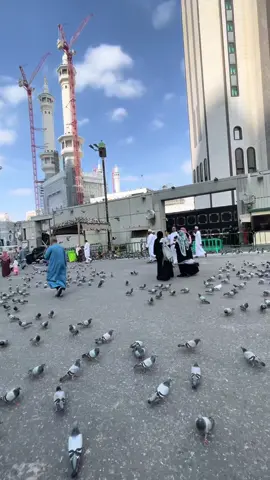 #🥹🤲🏻🕋💔☝🏼 #حسبنا_الله_ونعم_الوكيل #maka #foryou 