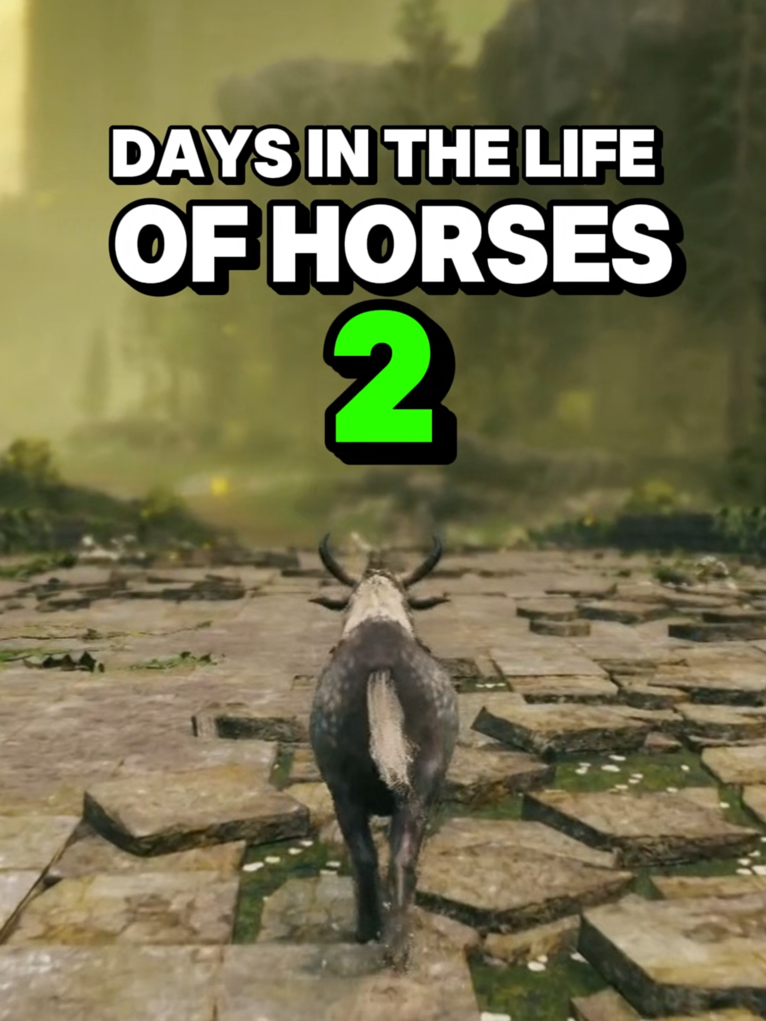 neigh 2: electric boogaloo!
