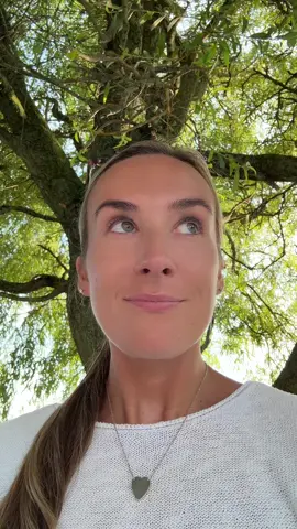 I’m under my emotional support tree 🌳 🩷🍭🌷🌸🌺