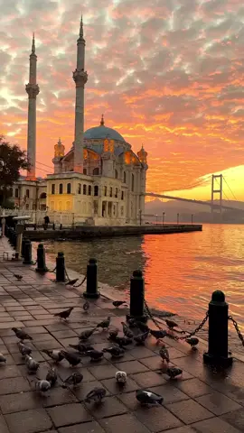 ✨ The heart of Istanbul beats right here! 📍 Ortaköy Mosque & Bosphorus View 🕌 Where history meets the sea… 💙 Only in Istanbul can you find beauty like this. #Ortakoy #istanbul #BosphorusView #BestDriverHatip #TravelTurkey 