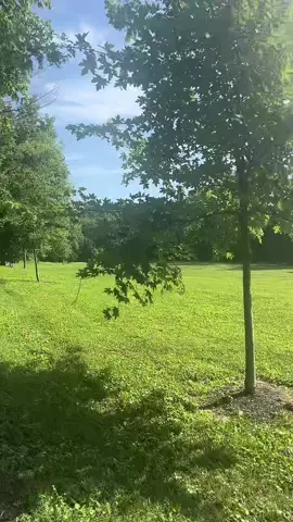 #puntlander🇸🇱 