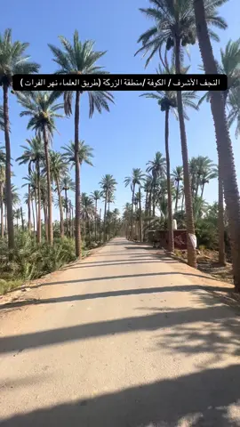 النجف الأشرف /الكوفة /منطقة الزرگة (طريق العلماء نهر الفرات ) 
