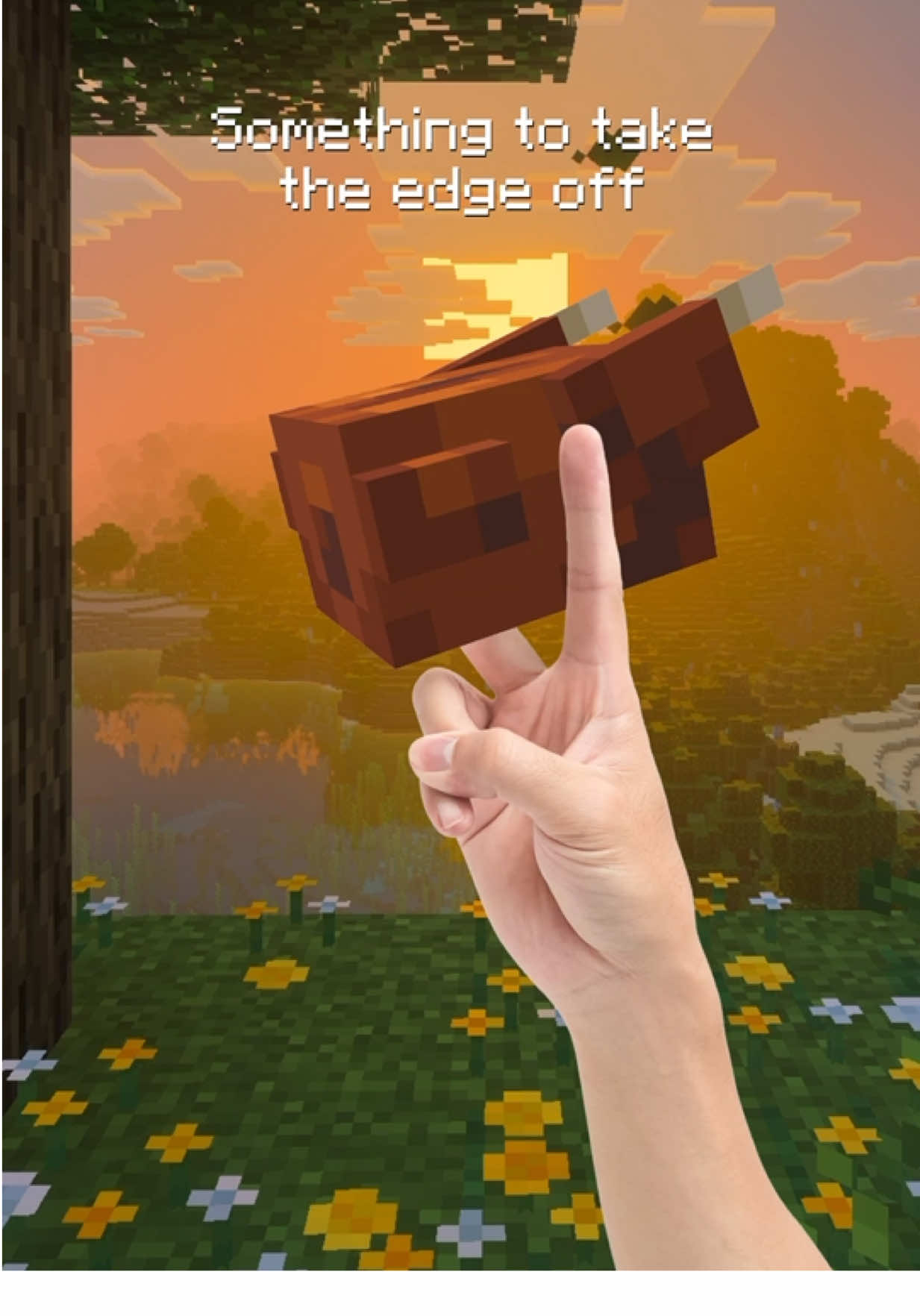 Just a little something something 🐔 #Minecraft #minecraftmemes 