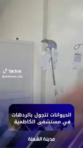 مع الاسف لا مستشفى بيها حظ ولا مدرسة بيها حظ 
