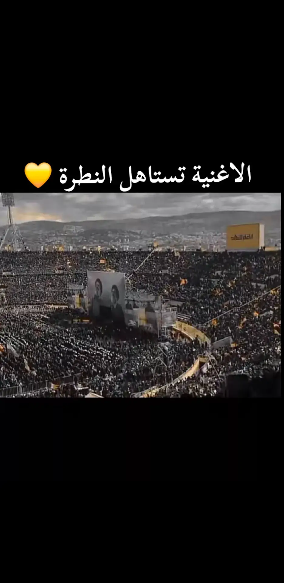 #313💛 #سماحة_العشق #السيدحسن💛 