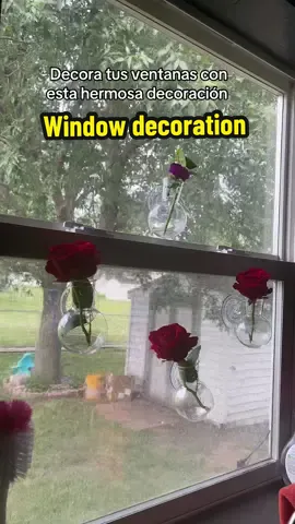 #windowdecoration #windowdecor #decoraciondeventanas #plantas #plants 