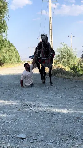 🌪️ They said I was calm… till I turned BEAST. 🎧 #BeastMode #HoodTrappaa #HorsePower #KurdishHorseman #شورەسواران  