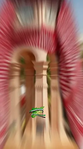 🫡🫡