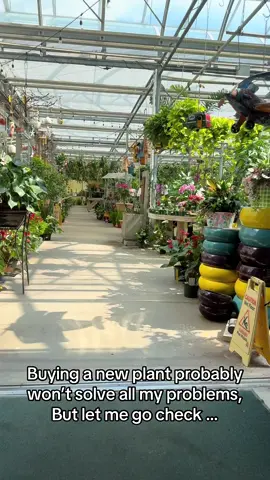 Why is it that every time I go plant shopping, I leave with at least one more than I intended? It’s like I’m collecting Pokémon—gotta catch 'em all, even if I can’t remember their names! Must learn to keep them alive too... 😜🌵 #PlantShoppingAdventures #BotanicalCollector #TooManyPlants #plantsoftiktok #botanical #plantmom #houseplant #TrendTok #TrendTokApp 
