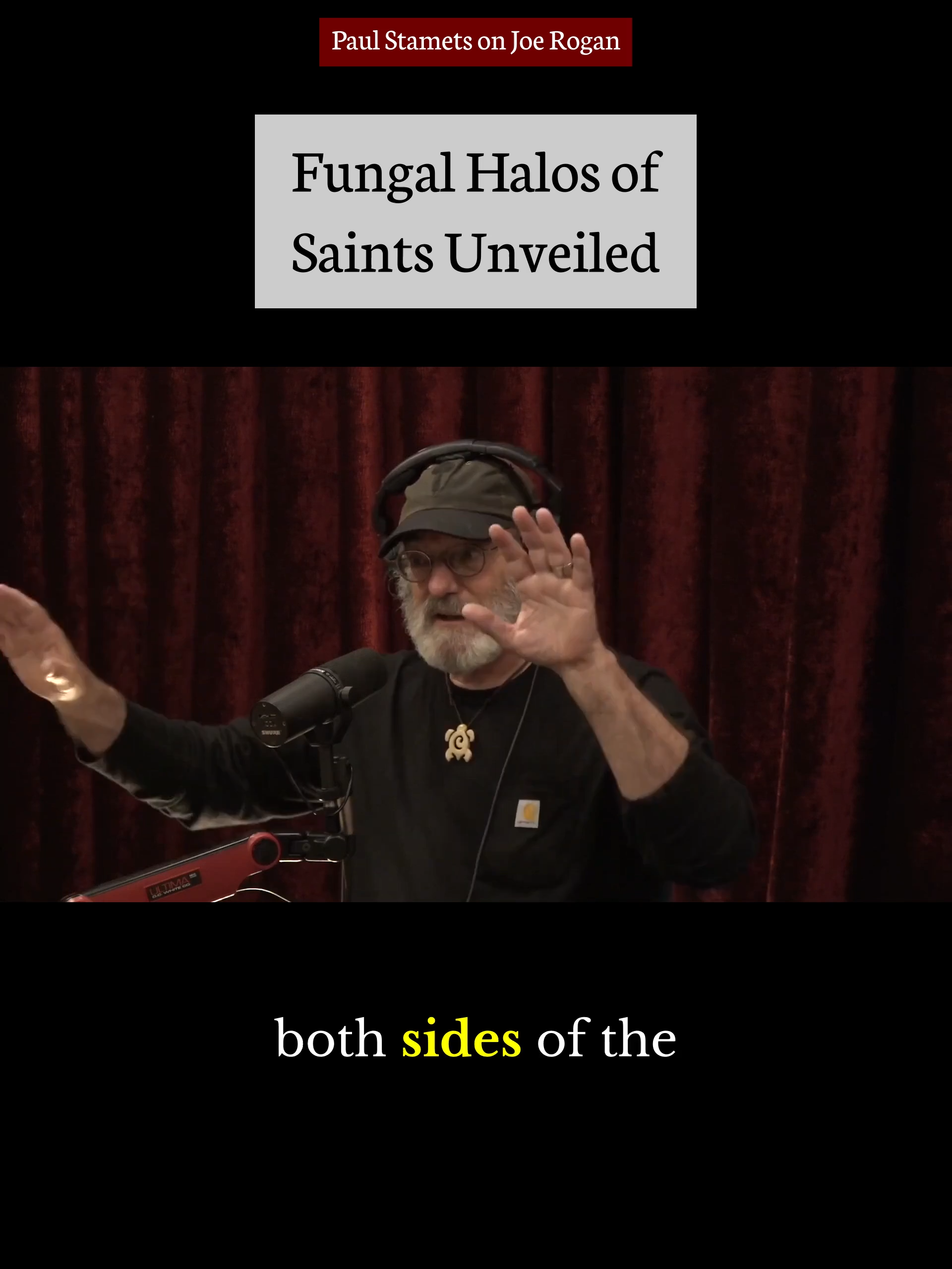Jesus's Mushroom Halo? - Paul Stamets on Joe Rogan #ancientdepictions #royalty #religiousfigures #psilocybin
