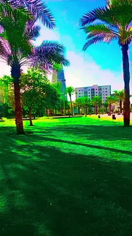 #🌺🌺🌺🌺🌺🌺🌺🌺🌹 💕💗💗💗👌🥰👩‍❤️‍👨