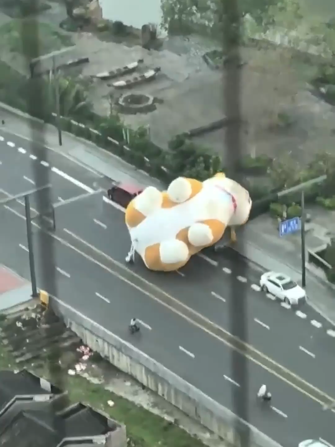 Some car dealership is very upset right now... 🤪 🤣 #balloon #parade #propertydamage #carfails #fail
