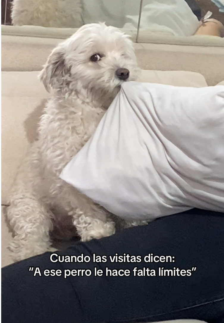 JAJSJSJAJAJSJAJAAJAJAJAJA AUXILIO 