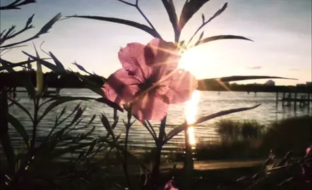 grimes - genesis. my heart, i never feel… #grimes #genesis #music #lyrics #трек #щп #щитпост 