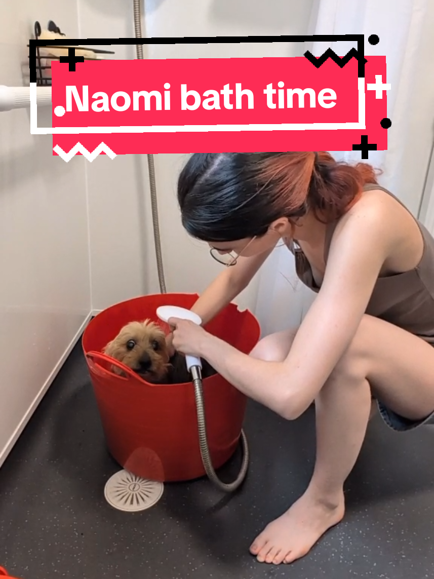 Naomi got adopted when I was 13 and she was a rescue dog from a puppy farm.  We didn't know if she was used for breeding but the possibility was high.  She was afraid of men especially and would only allow myself and my mum to give her a bath.  Now she is still afraid but is more herself especially with the groomers.  #rescuedog #bathtime #MentalHealth 