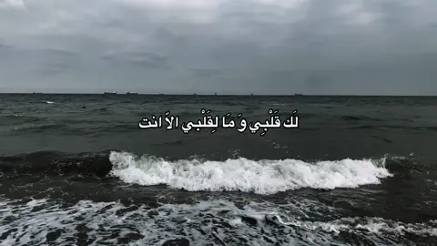 لَك قَلْبِي وَ مَا لِقَلْبي الاّ انت#fypツ #هدوء #منشن #اقتباسات #حب 